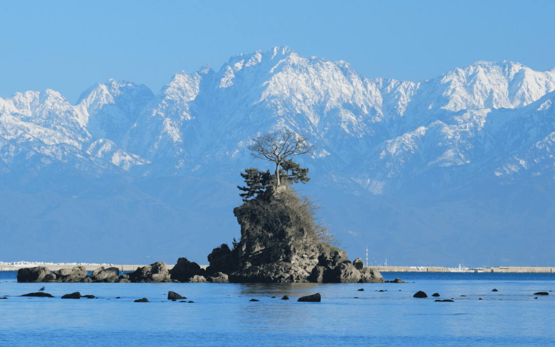 走訪立山黑部必嚐的美味源頭！日本富山老字號「四十物昆布」的大自然奇蹟與職人堅持